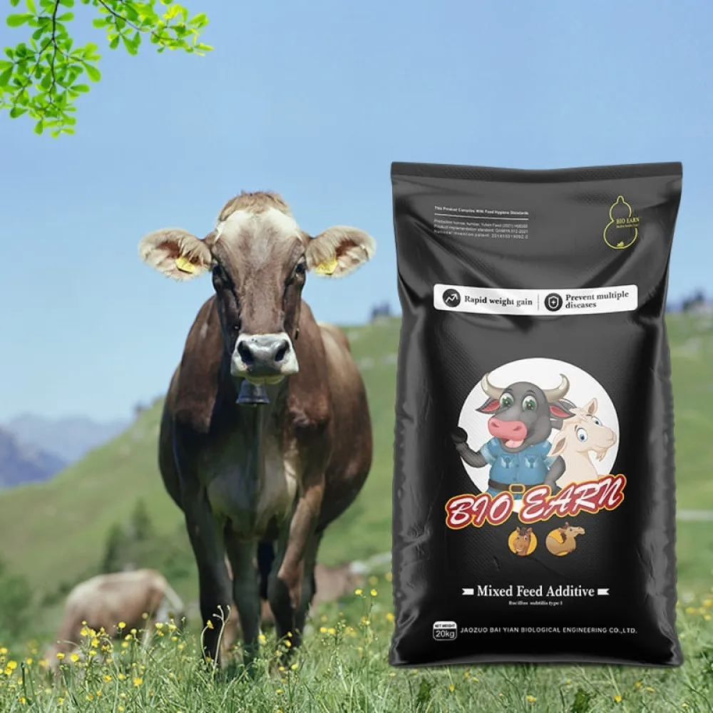 Ruminant Feed Supplement – Cattle & Sheep Growth Booster | China ...